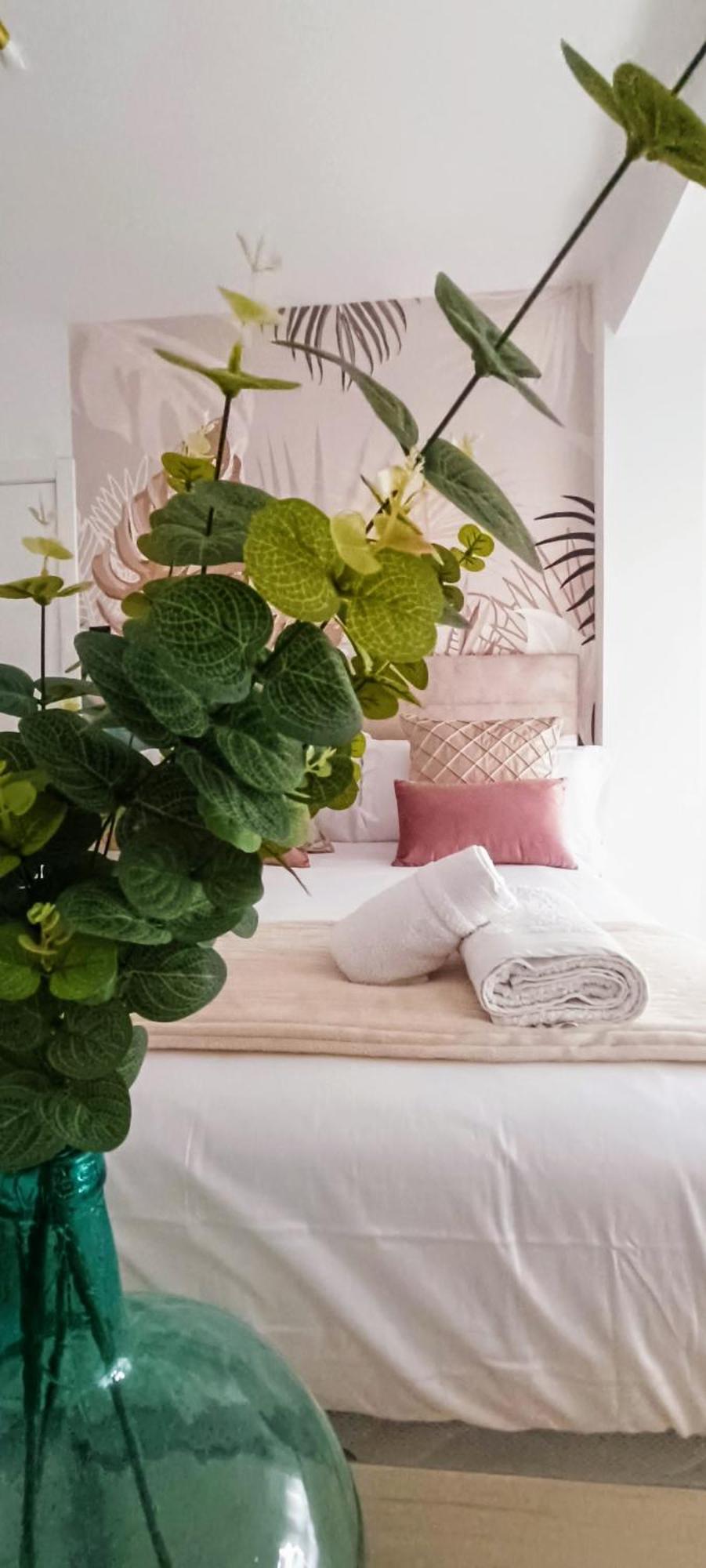 Apartamento Centro Ancha De Gracia Grenada Zewnętrze zdjęcie